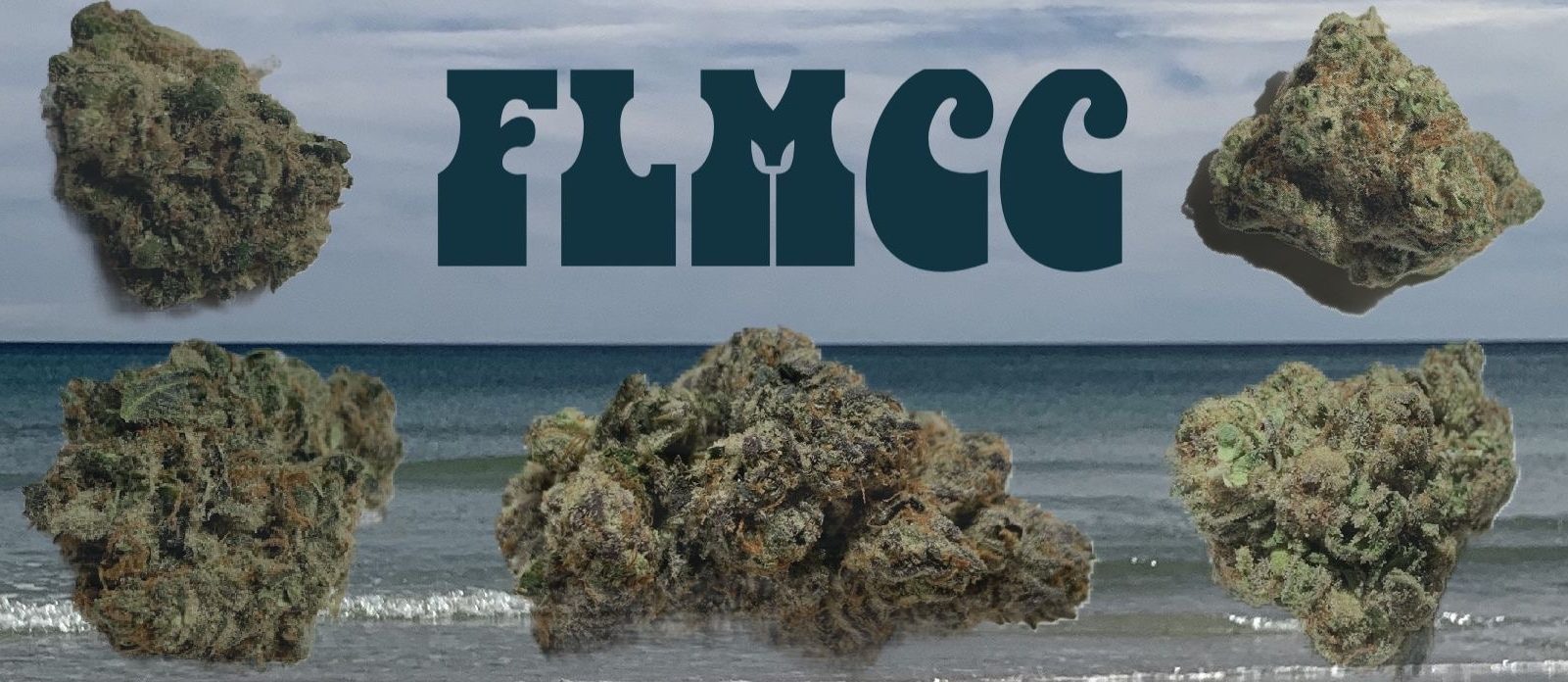 Florida Medical Cannabis Collective